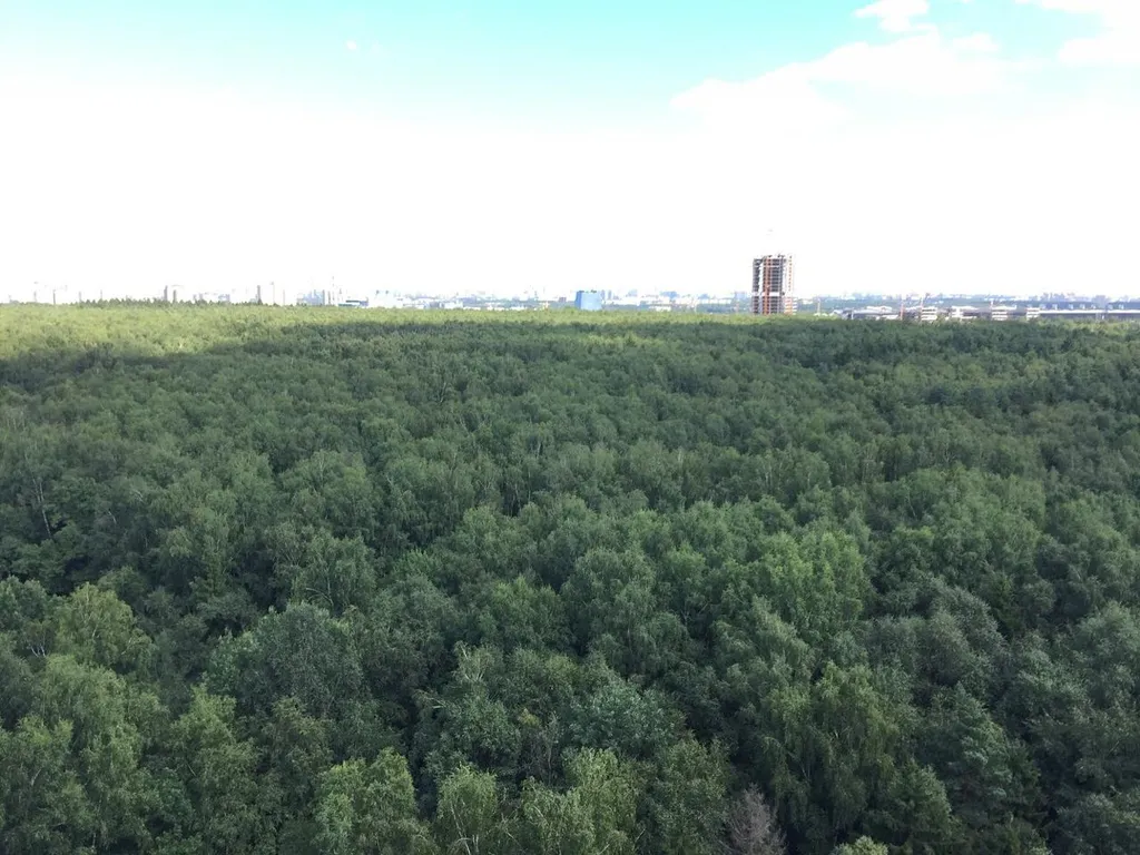 Истоман 2+2 с видом на Лес