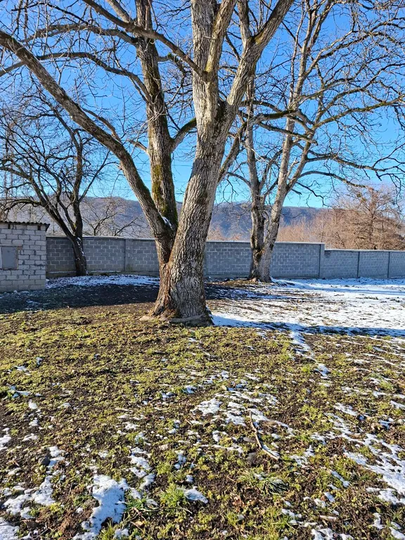 Уютный дом возле термального источника по дороге на курорт Мамисон