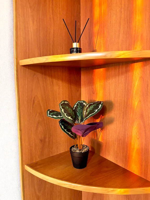 Уютная студия в центре города