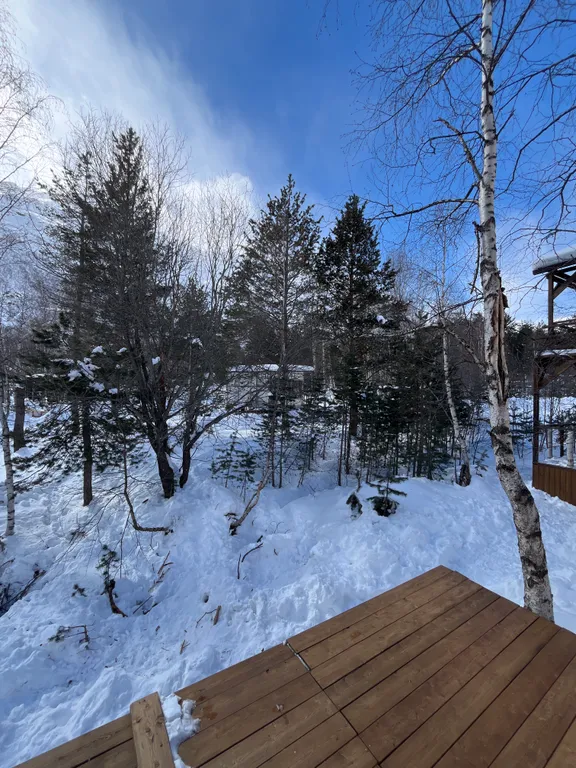 Новый уютный коттеджный домик