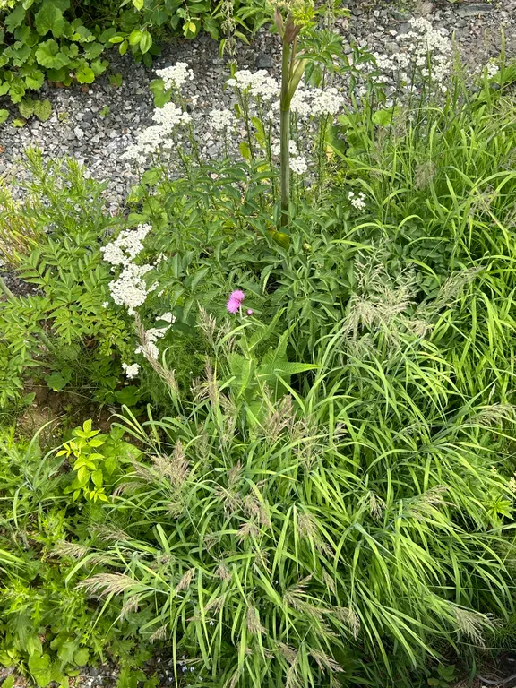 Квартира Модульный домик — Шерегеш