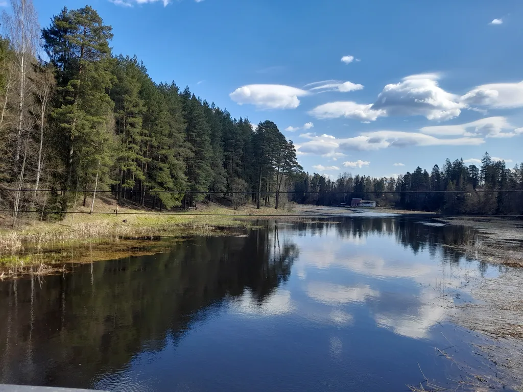 Коттедж Дом Симанского — Сиверский
