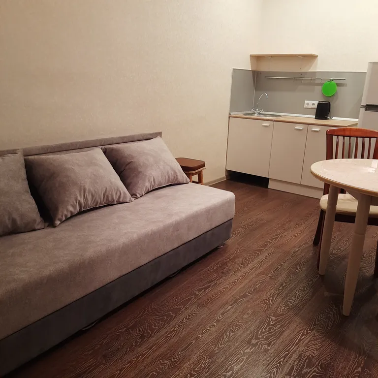 Cветлая студия с видом на Амур