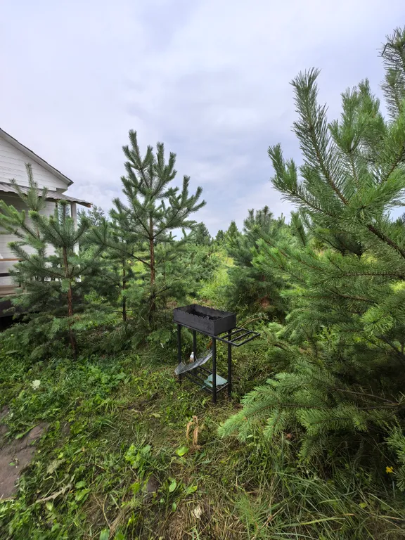 Большой дом с баней и чаном