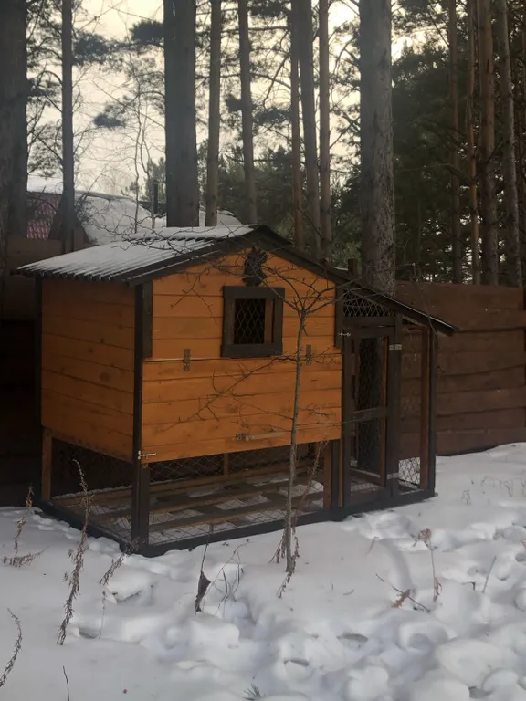 Уютный коттедж в сосновом бору