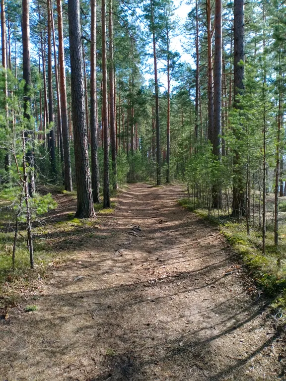 Коттедж 2-комнатный Дом — Мичуринское