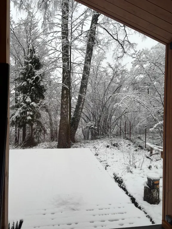 Домик для отдыха в лесу