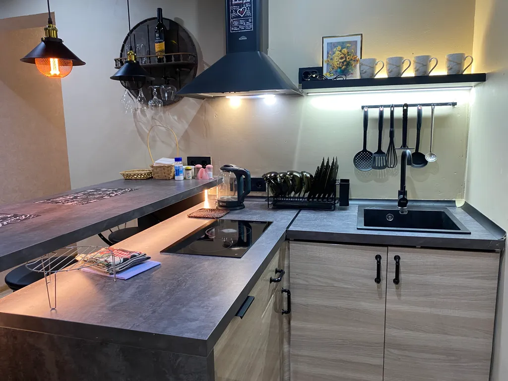 Однокомнатная квартира с баром-кухней