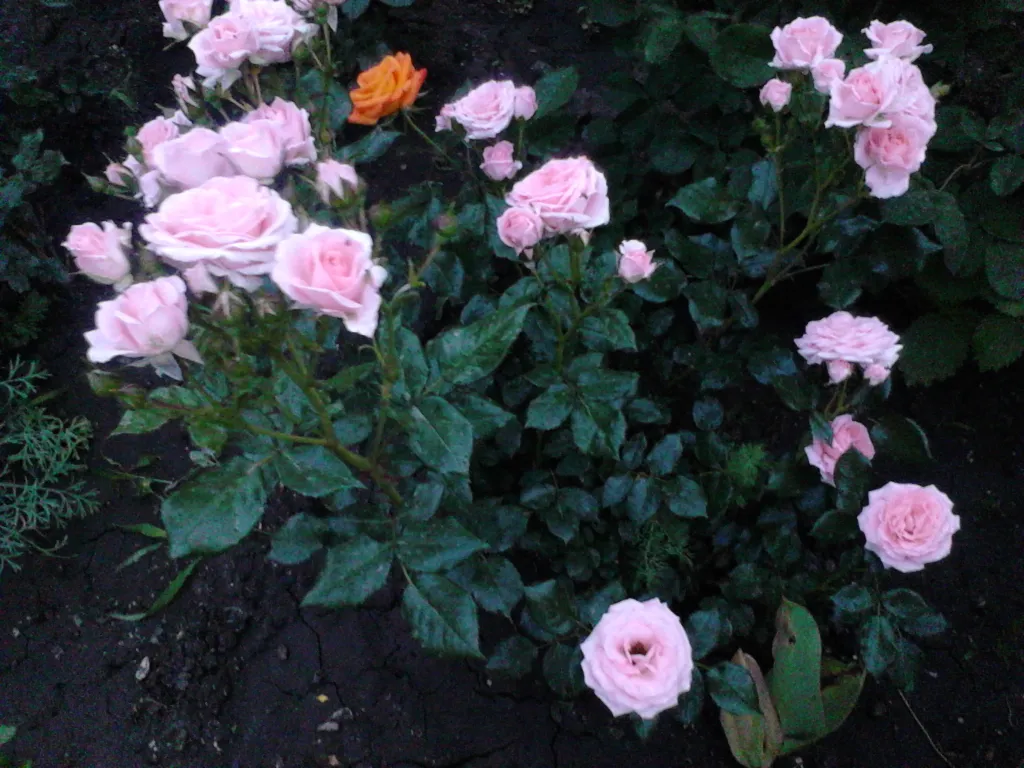 Уютный дом под ключ