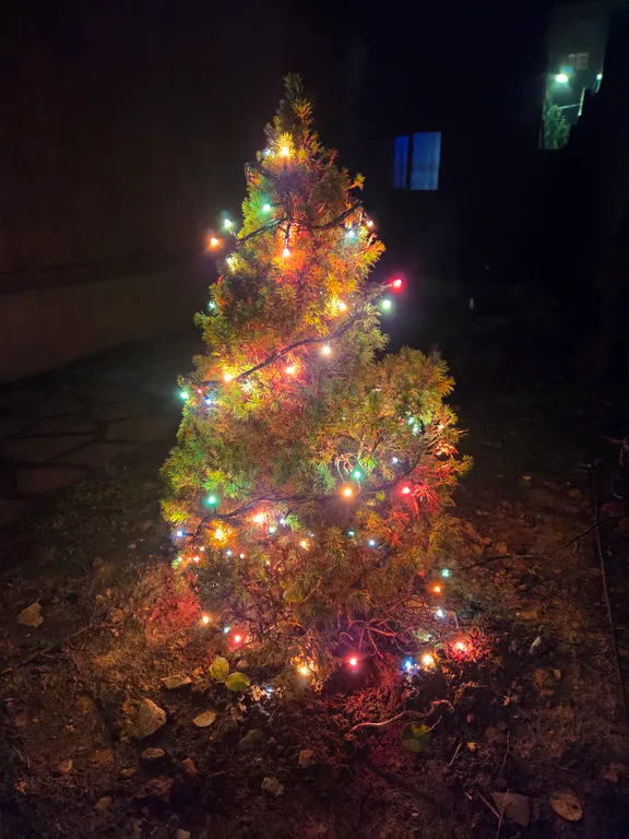 Уютный дом в центре