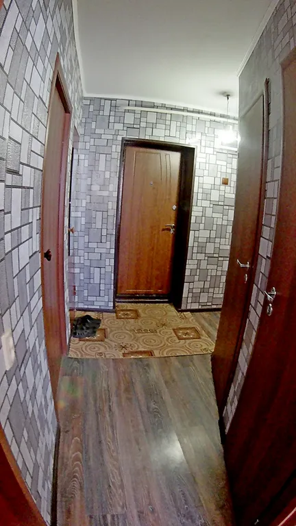 Квартира на бульваре