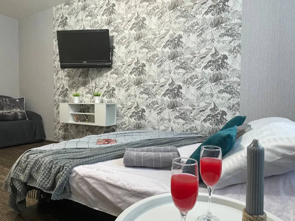 Уютная однокомнатная квартира от сети гостевых квартир Олимп