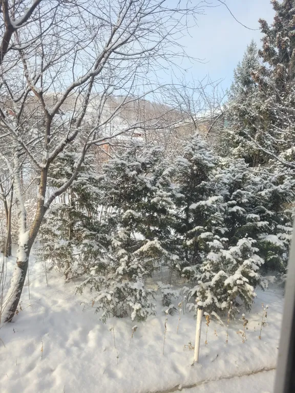 Дом для семейного отдыха с баней на дровах