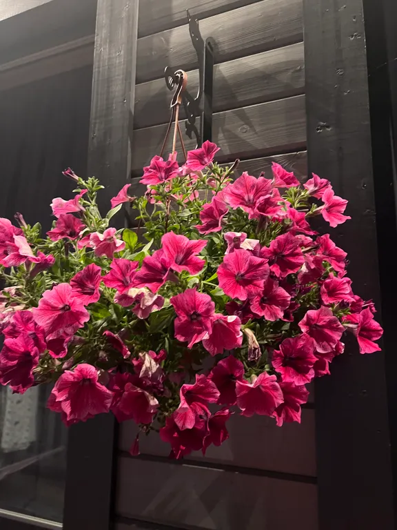 Дом-бутик Сандра с сауной и купелью