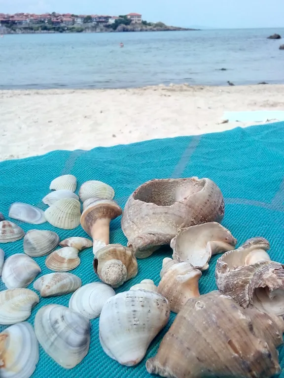 Квартира Квартира у моря — Севастополь