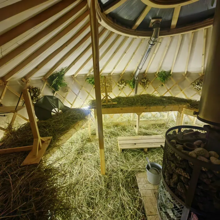 О, Дни в Лесу