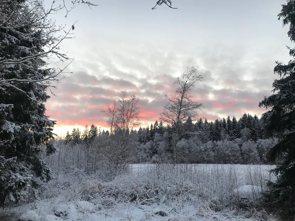 Загородный дом в лесу вблизи залива
