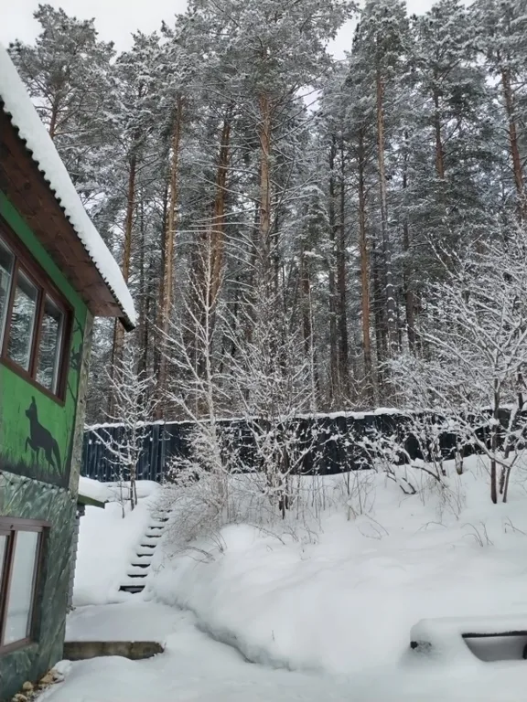 Дом в сосновом лесу