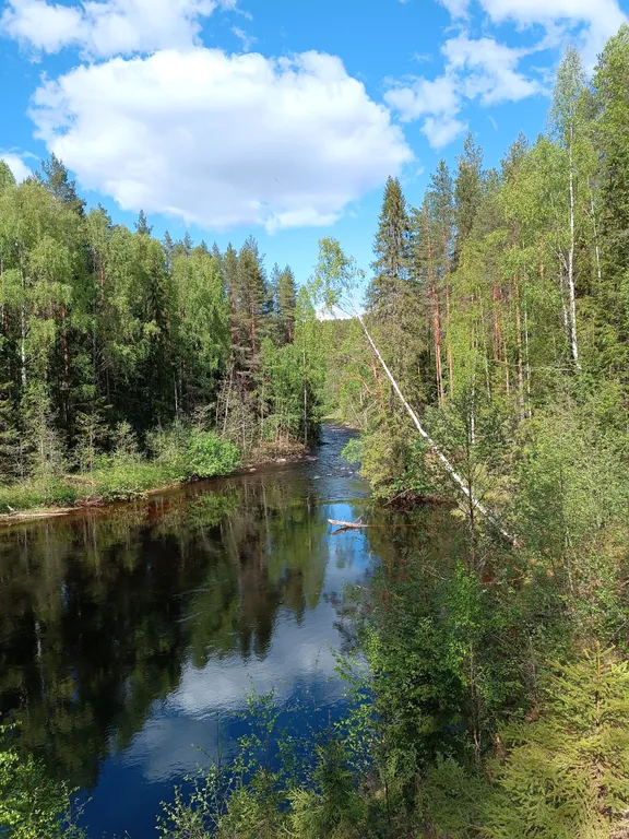 Уютный гостевой дом в лесном просторе