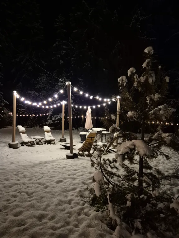 Уютный дом у леса ДубльДом Кедр