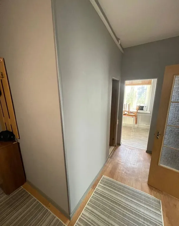 Однушечка в центре