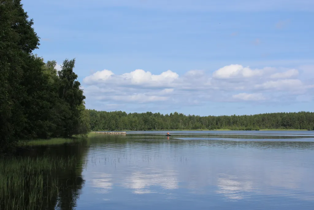 Коттедж 3-комнатный Дом — Приладожское