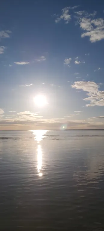 Апартаменты с террасой и камином в лесу рядом с Финским заливом