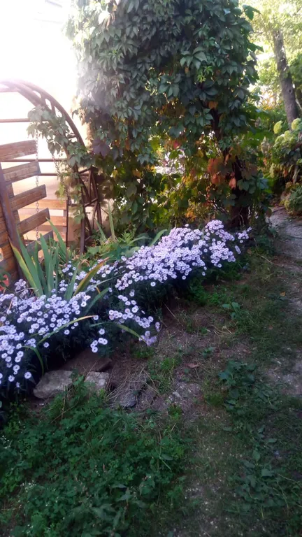 Домик в тихом центре у Колоннады и Нарзанной галереи