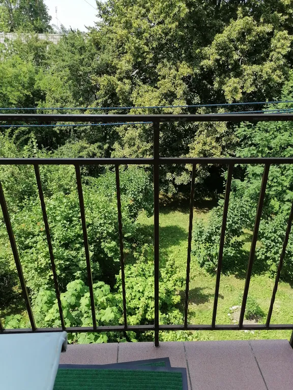 Квартира Уютная квартира в центре города — Пионерский