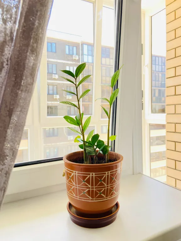 Квартира Квартира в ЖК Лебединое озеро — Горячий Ключ