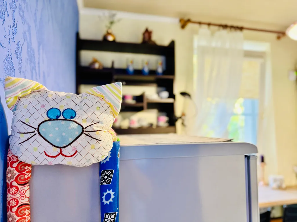 Мяу-квартира на Курортном проспекте — аренда посуточно в Зеленоградск