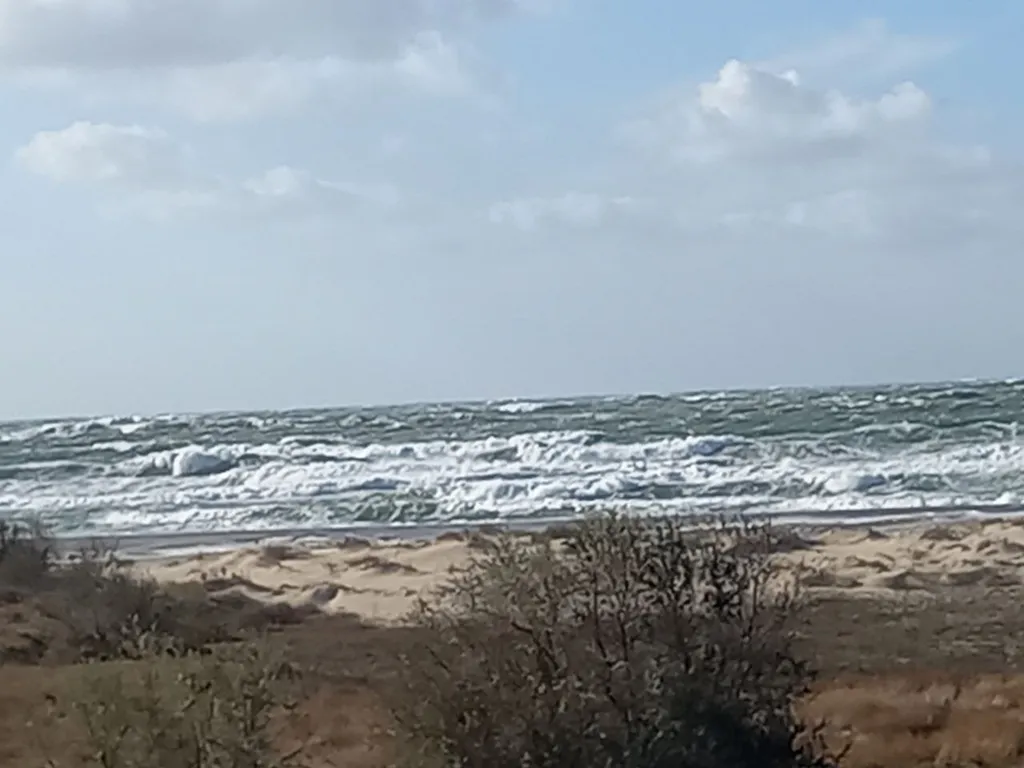 Просторные апартаменты у моря с видовой террасой