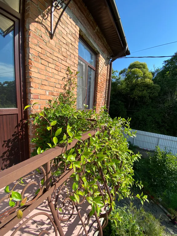 Апартаменты Angelus