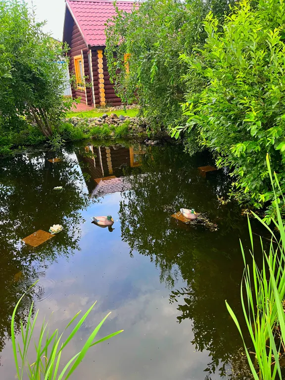 Уютный гостевой дом