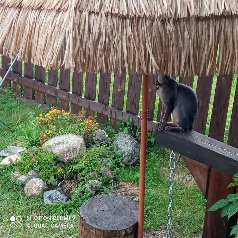 Дом на берегу Чемалки