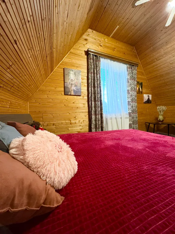 Дача художника с русской баней