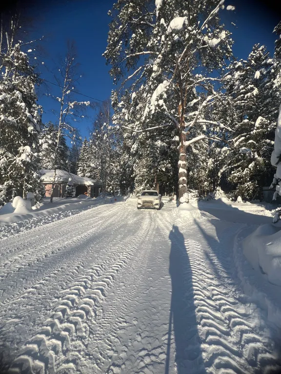 Дом синь-камень