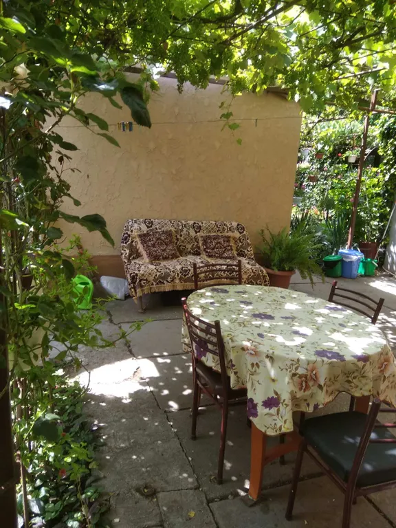 Комната в зелёном дворе