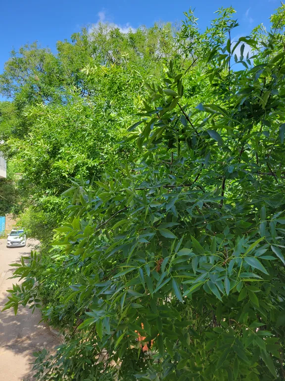 Квартира Уютная двухкомнатная квартира в центре города — Севастополь