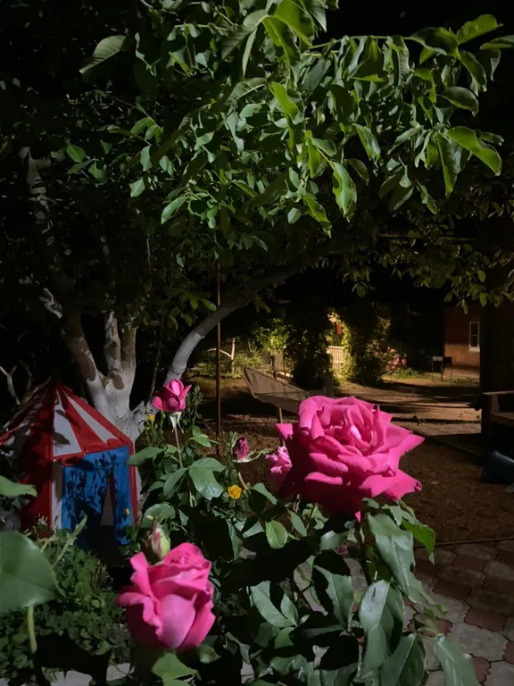 Домик у моря