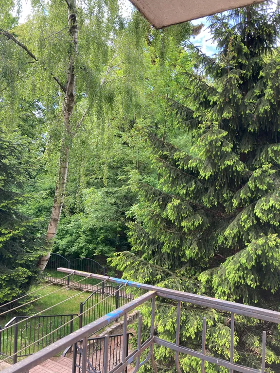 Квартира 2-комнатная Квартира — Пионерский