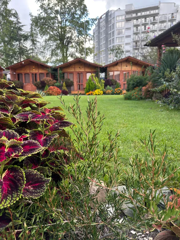 Коттедж 1-комнатный Дом — Гагра