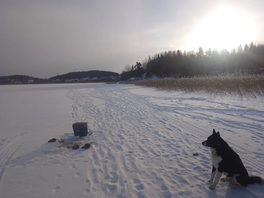 Коттедж Дом из бруса с сауной — Хюмпеля