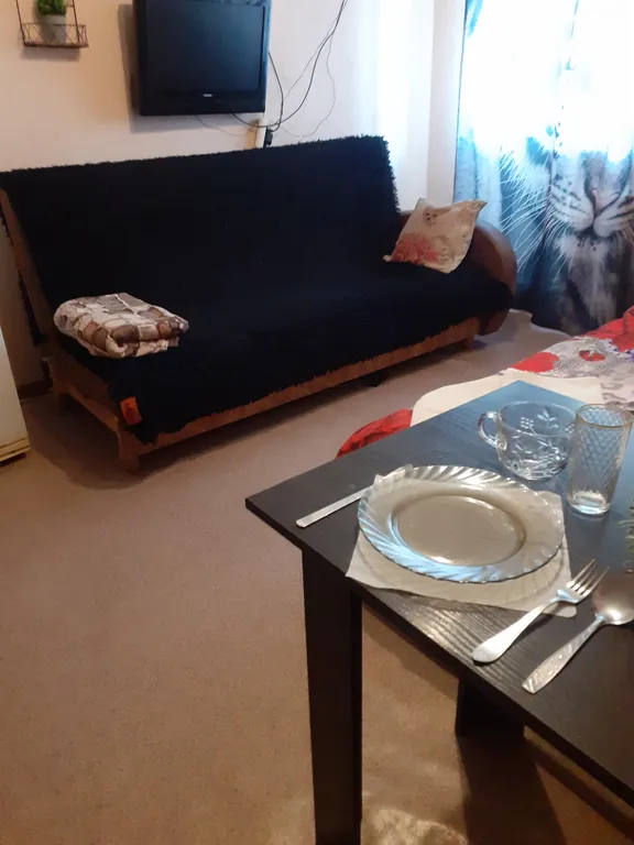 Уютная квартира на берегу реки Ока