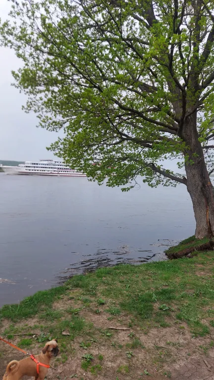 Уютный дом на Волге