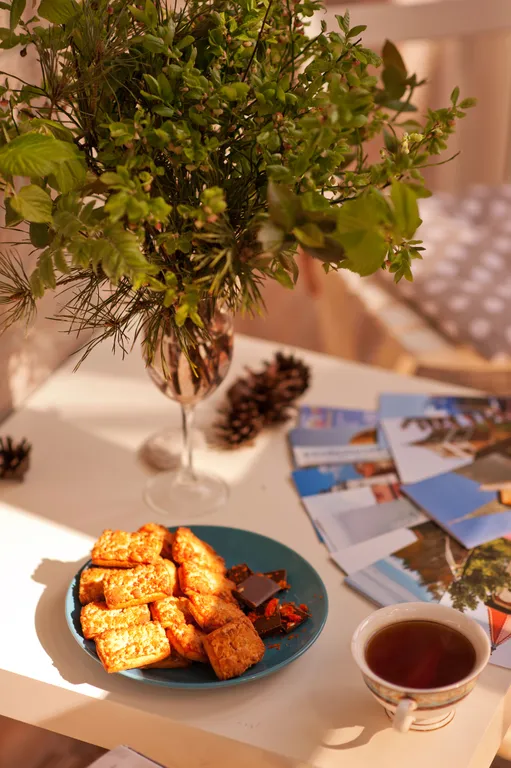 Студия в Сосновом бору