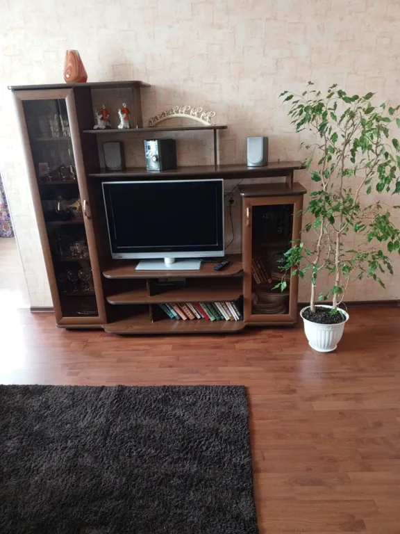 Чистая уютная с высокими потолками квартира