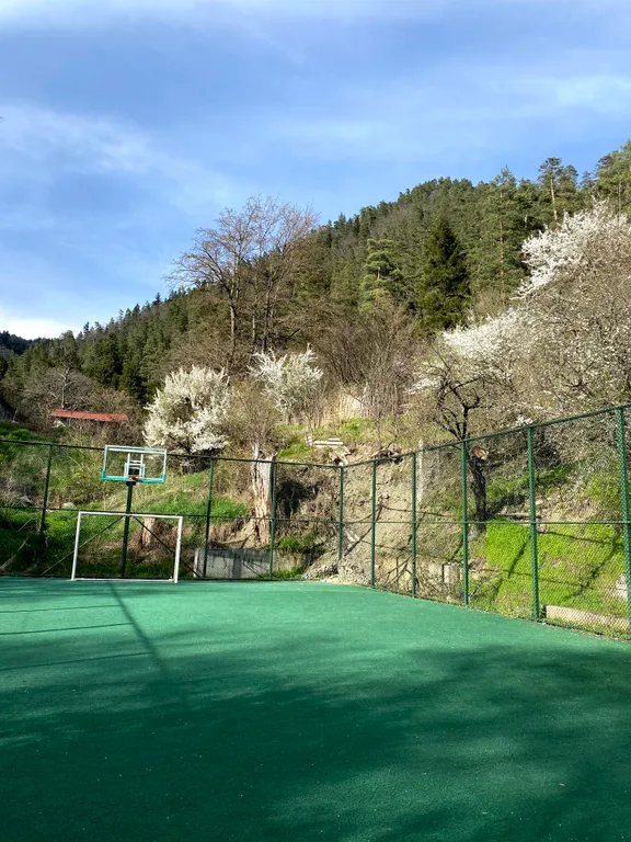 Боржоми с высоты полёта! - Уютная квартира в самом центре