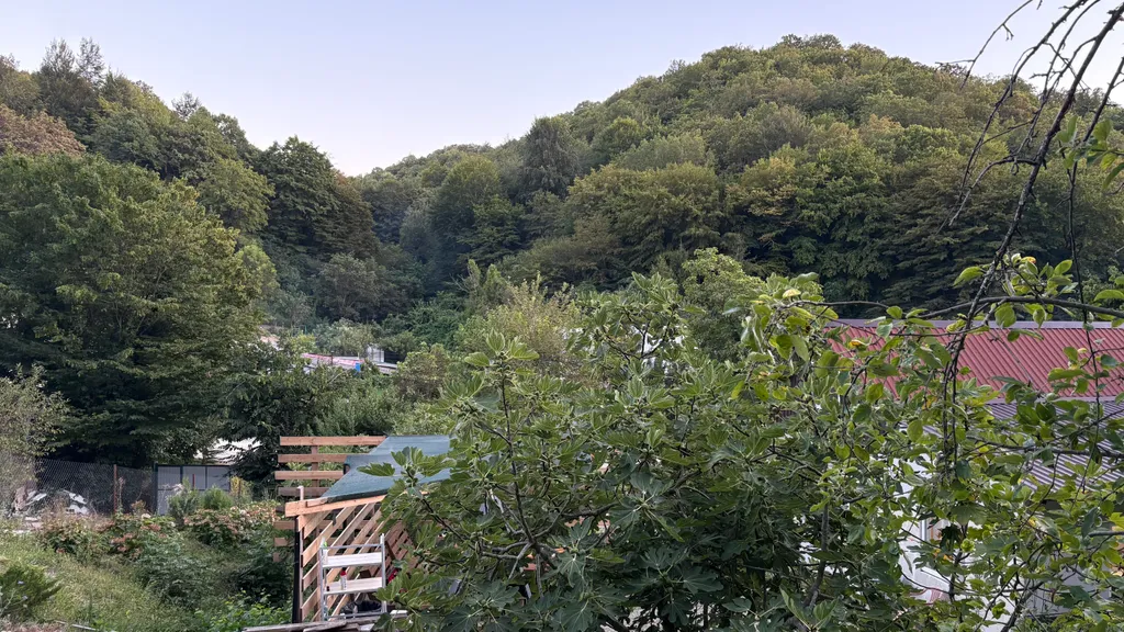 Домик на море, тихое и спокойное место, дубовая роща