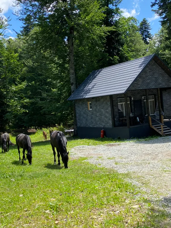 Коттедж 1-комнатный Дом — Архыз